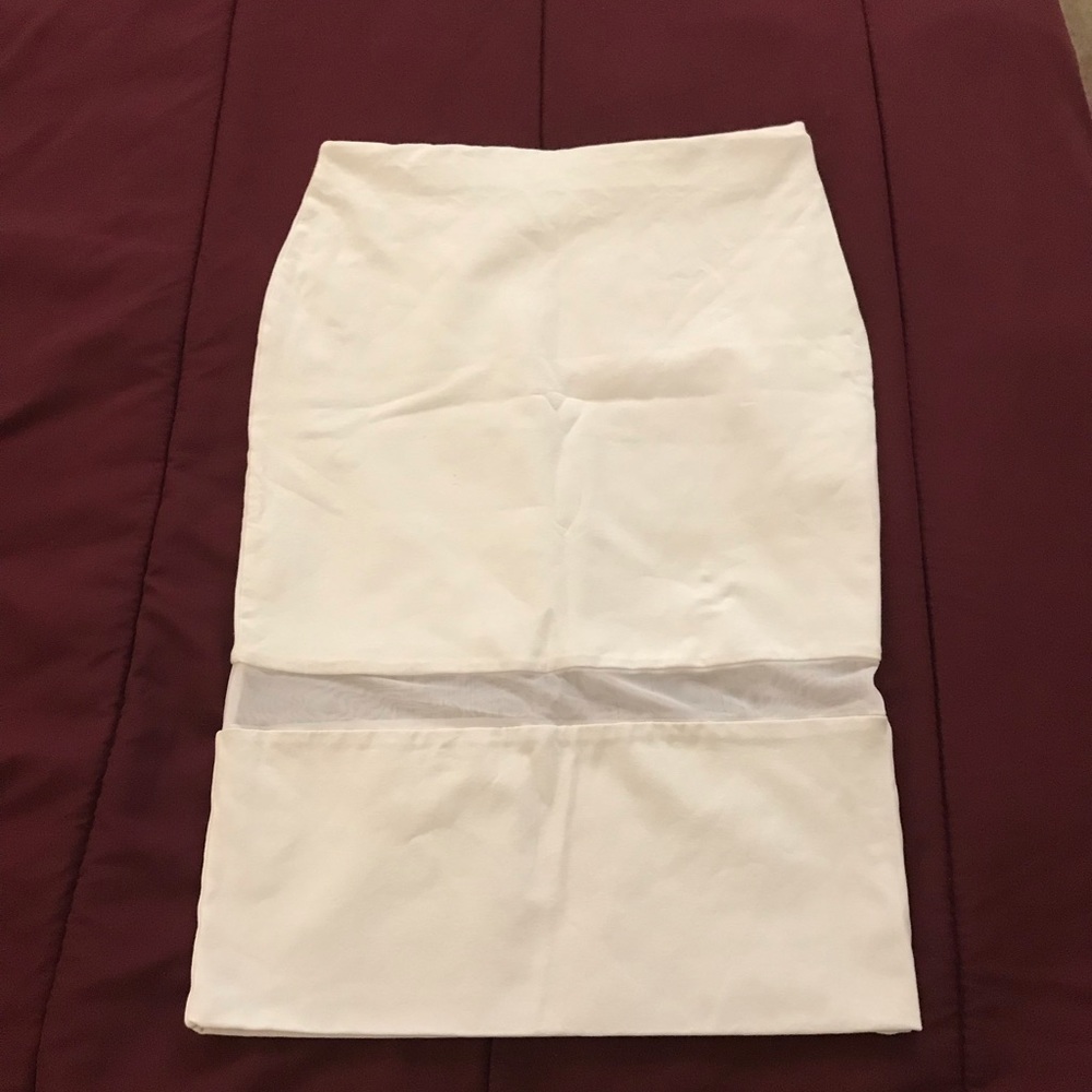 Zara Sheer Panel Skirt